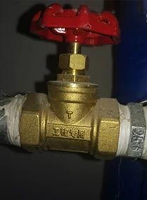 1733883909629781.jpg 微信圖片_20241211102441.jpg